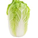 user_6cmk05cqyqli9opz member profile picture
