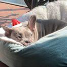 East Central House转租&房东直租