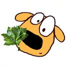 啧啧啧的头像-小果迷