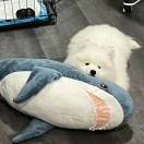 凌忆鲟的头像 - 校园论坛