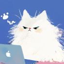 null转租&房东直租