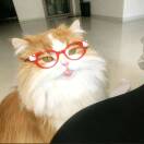OVObbit^^