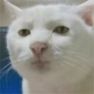 清凉