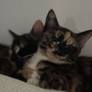 Park house转租&房东直租