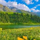 Ag🐰的头像-雷恩私塾