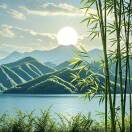 ²⁰²⁶₁₆₈的头像-澳门国际