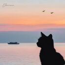 用户25999271的头像-工欲善其事，必先利其器宋辞云创