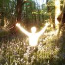 Chaos的头像-秀琴曲谱网