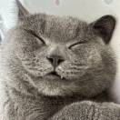 努力揾钱食大餐🚀