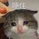 b_mox的头像 - 校园论坛