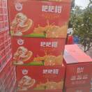 wangqiang（15181699890）