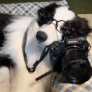 iQ Kingston转租&房东直租