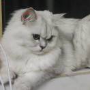 何胖杰-博士钣金 - www.bsbanjin.com