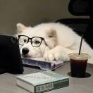 奈斯耐思的头像-音创社AI SonoCraft丨科技改变未来