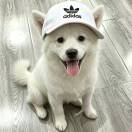 汪宁慧