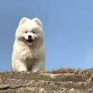 热爱可抵岁月漫长