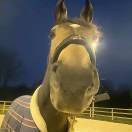 雪碧和双氧水的头像-梦马考研