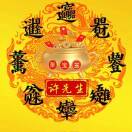 言午許（湛江同健8785