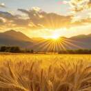 柿柿 ᨶ႒ᩚ如意