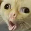 。2246