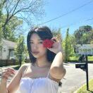 芝加哥(伊利诺伊州)求租