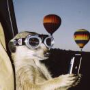 Hampton Square转租&房东直租