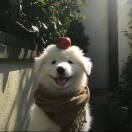 只与你^