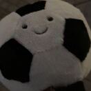 River apartment转租&房东直租