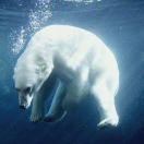 用户89216702的头像-风行者社区