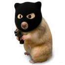 咖啡加点糖的头像-博士钣金 - www.bsbanjin.com