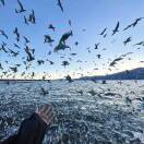 用户21985986的头像-博士钣金 - www.bsbanjin.com