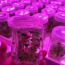 lxks741的头像-听书迷