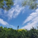 蔡荣洪-巧卖圈