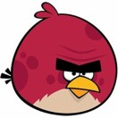 Hate