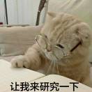 Rino头像