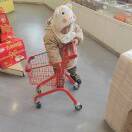糟糠之妻不下堂