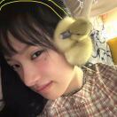 布里斯托求租