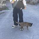 寻千与的头像-创薯资源