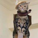 用户37413131的头像-梦马考研