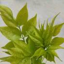 谢浩的头像-博士钣金 - www.bsbanjin.com