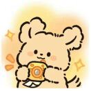 纽约(纽约州)求租