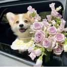 明way的头像-cok论坛 - AGREE动漫游戏