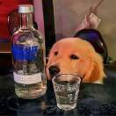 素颜