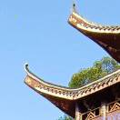 jgdtnbb的头像-小果迷