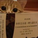 墨尔本求租
