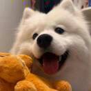 user_1fac6a8e48d51002718ea2d6