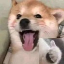 user icon