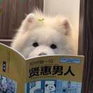 需要帮忙吗
