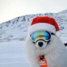 Windermere house apartment 转租&房东直租