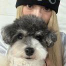 Starrr_o的头像 - 校园论坛